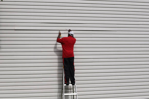 Best Shed Removal  in Scottsville, KY