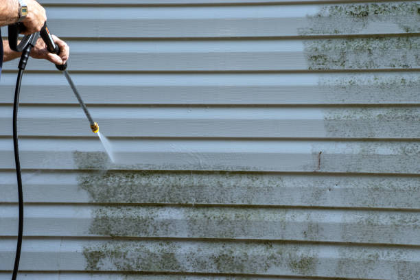 Best Appliance Removal  in Scottsville, KY