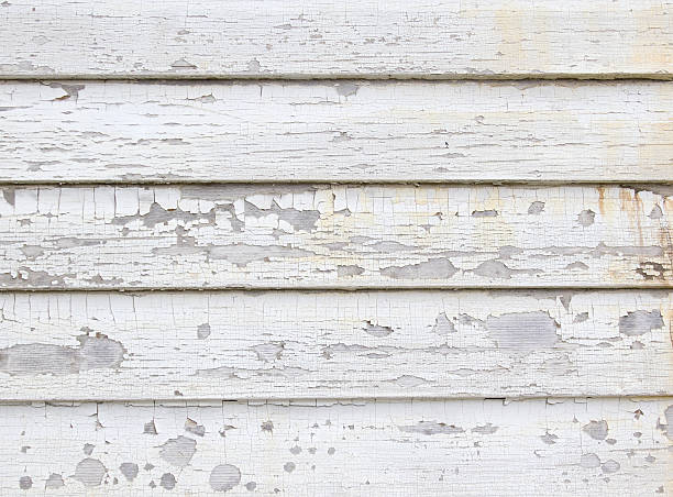 Trusted Scottsville, KY Junk Removal Experts
